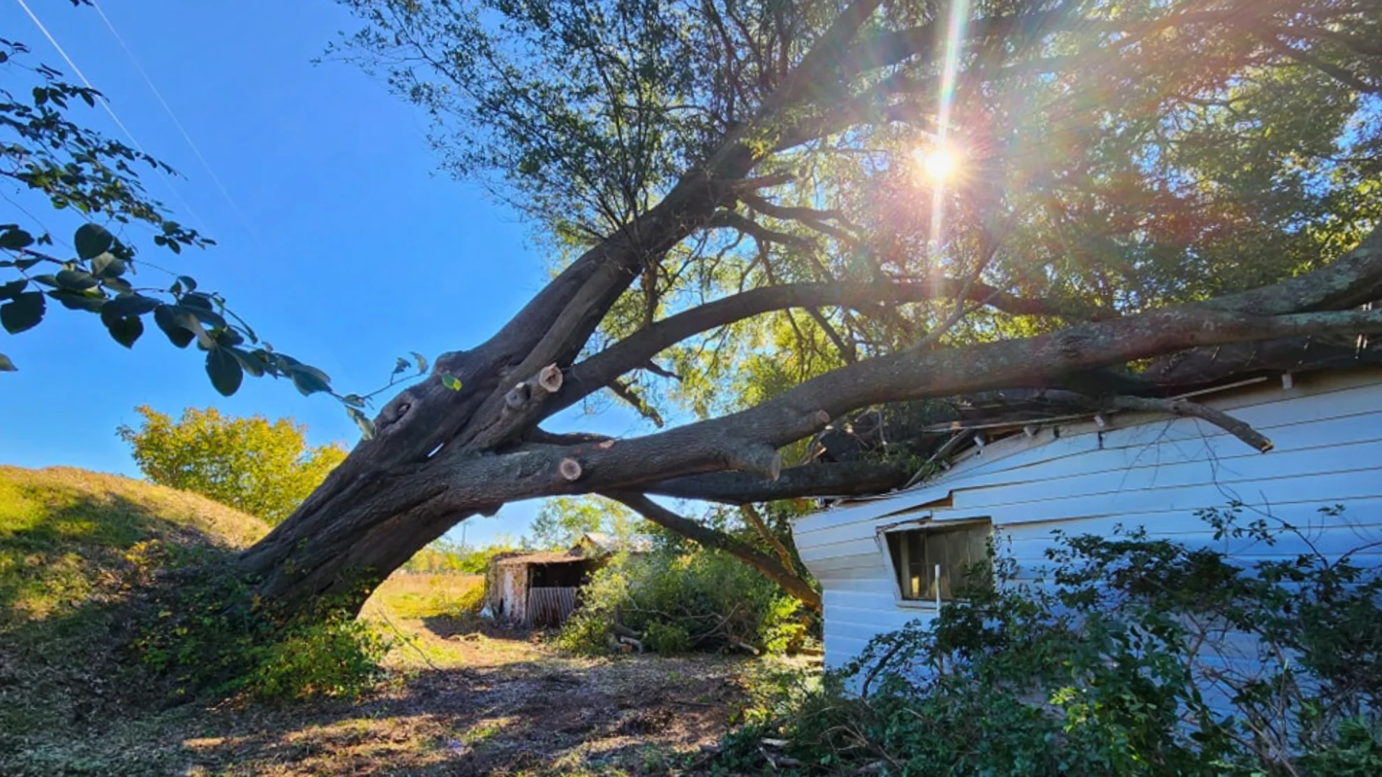 Emergency Storm Relief