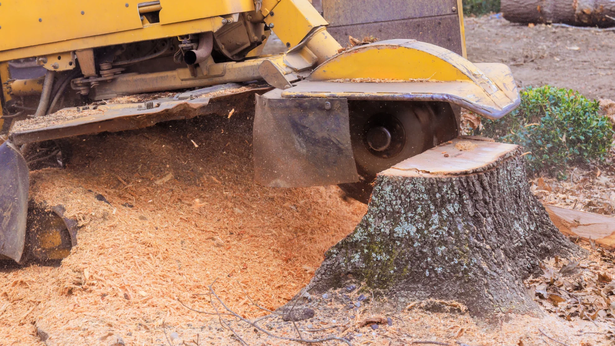 Stump Grinding