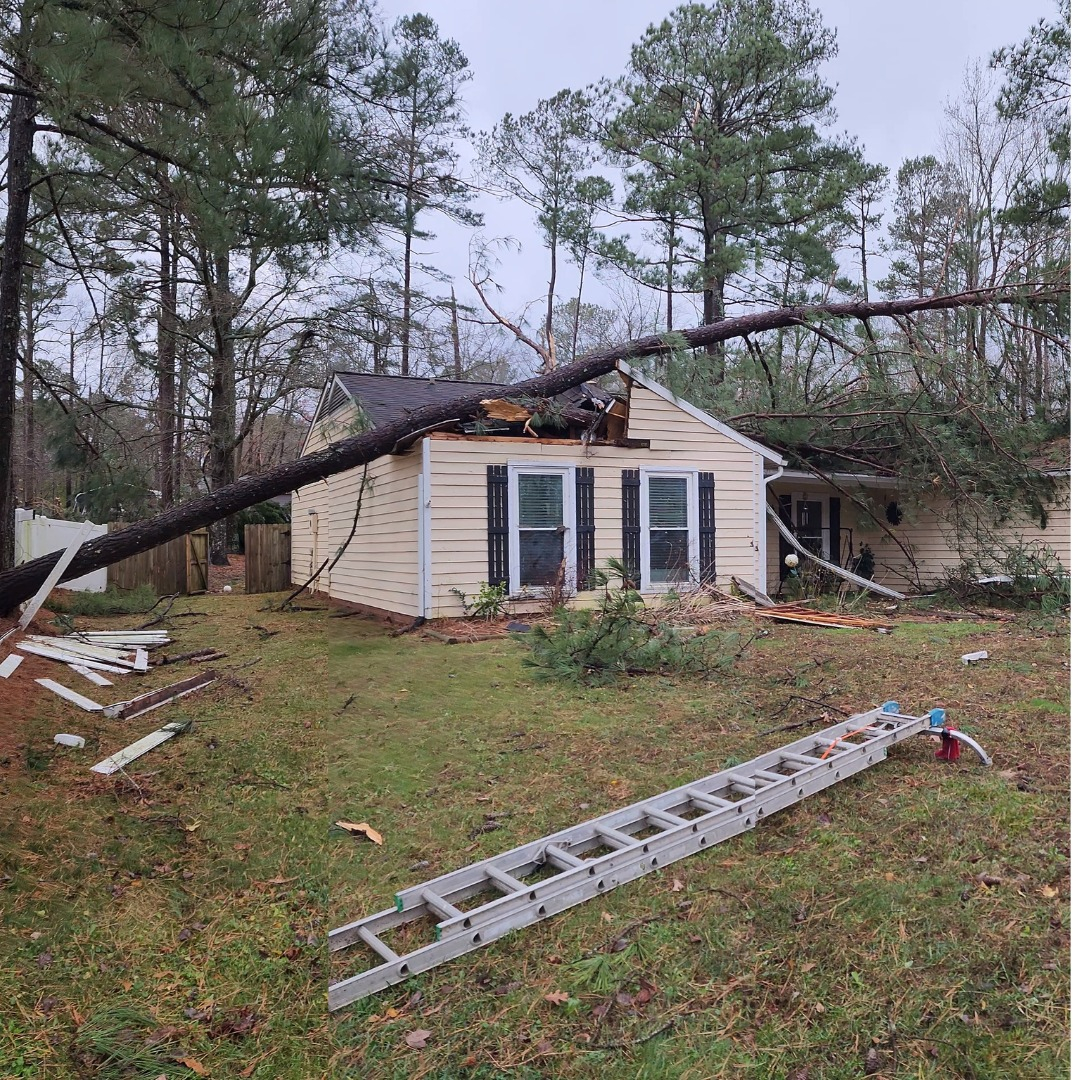 amazon tree service garner nc 2025 10 02T15 00 24.629121Z 38747